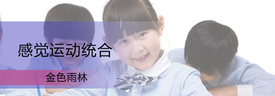 感觉运动统合