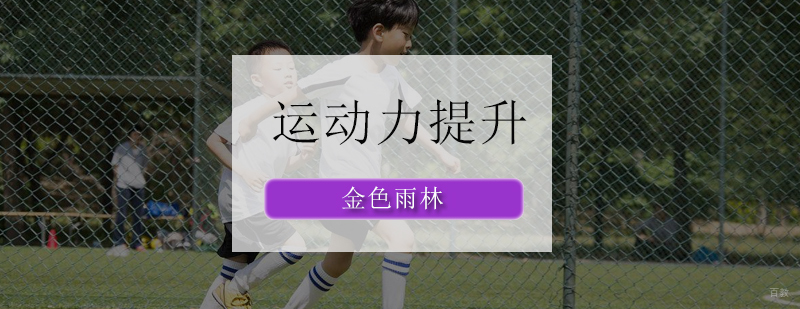运动力提升课程