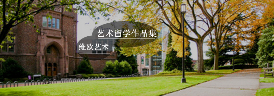 艺术留学作品集