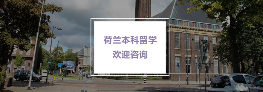 荷兰本科留学