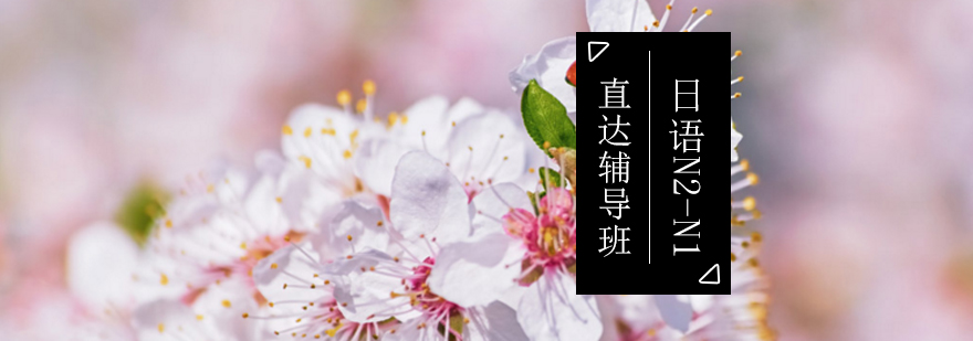日语N2-N1直达辅导班_全国日语等级考试