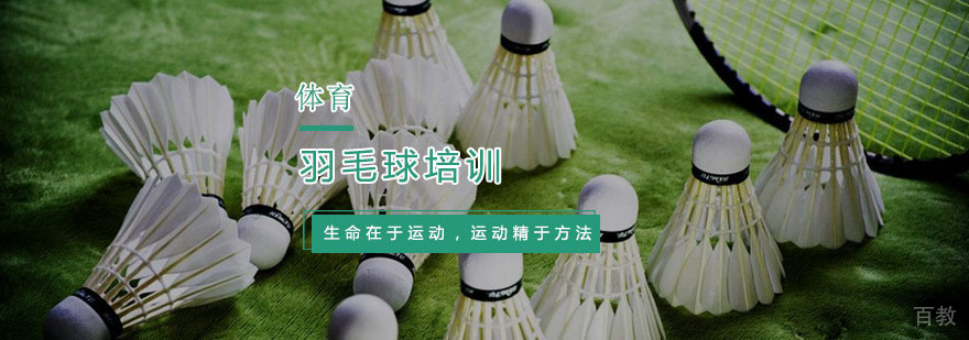 羽毛球培训