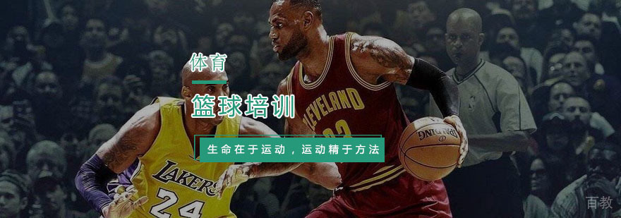 篮球培训