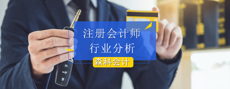 注册会计师行业分析-注册会计师条件