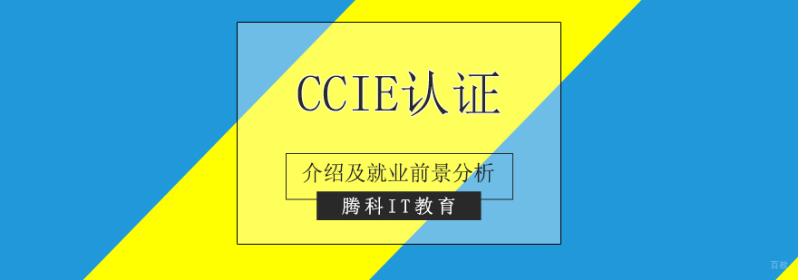思科认证CCIE介绍及前景分析