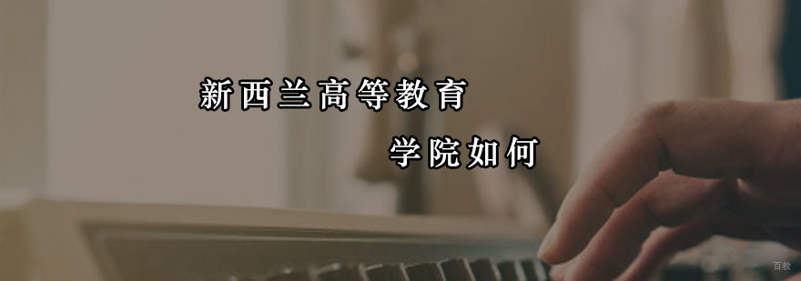 新西兰高等教育学院如何