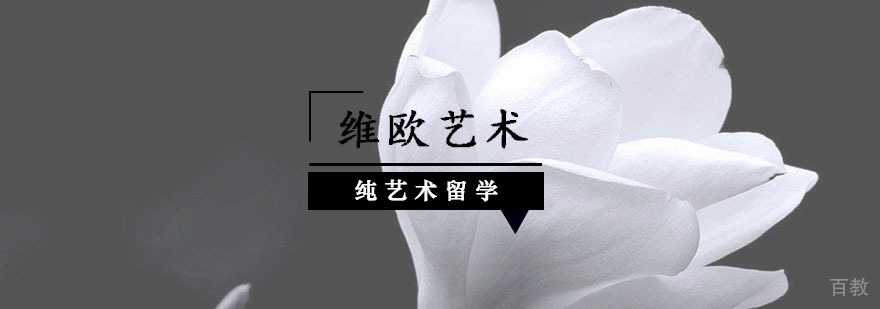 纯艺术留学