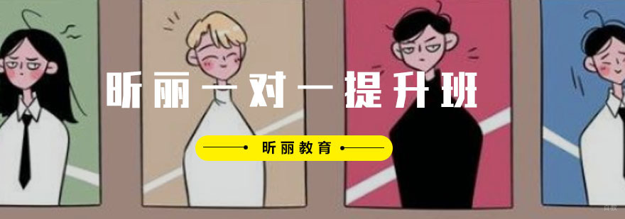 昕丽一对一提升班