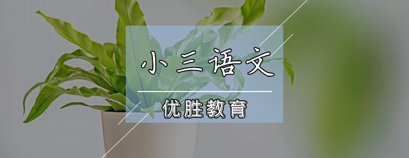 小三语文辅导课程