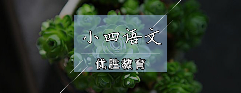 小四语文辅导课程