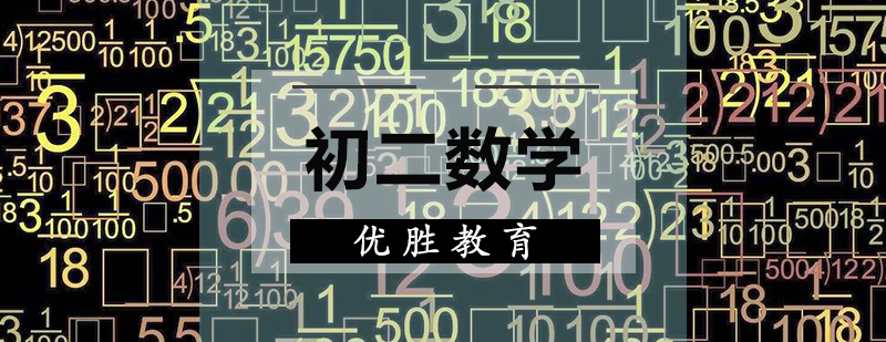初二数学辅导课程