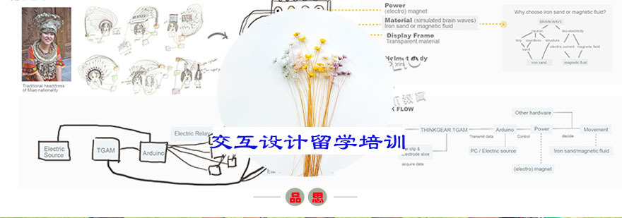 交互设计留学培训