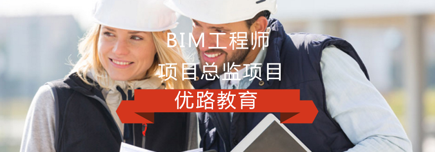 BIM工程师/项目总监项目