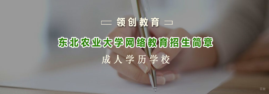 青岛领创教育网络教育咨询入口