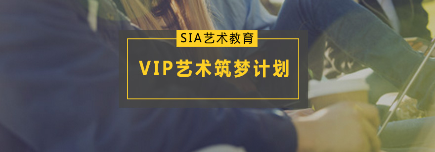 VIP藝術(shù)筑夢(mèng)計(jì)劃保送課程