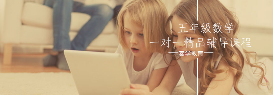 五年级数学一对一精品辅导课程