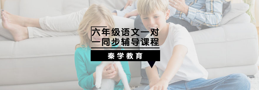 六年级语文一对一同步辅导课程