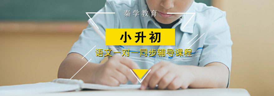 小学升学语文一对一同步辅导课程
