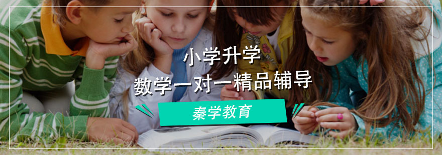 小学升学数学一对一精品辅导
