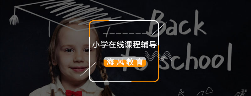 小学个性化辅导方案