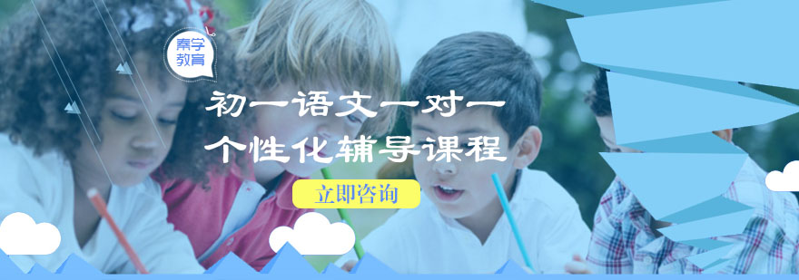 初一语文一对一个性化辅导课程