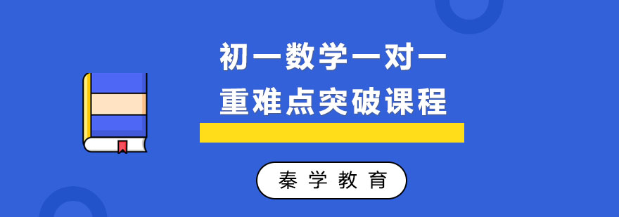 初一数学一对一重难点突破课程