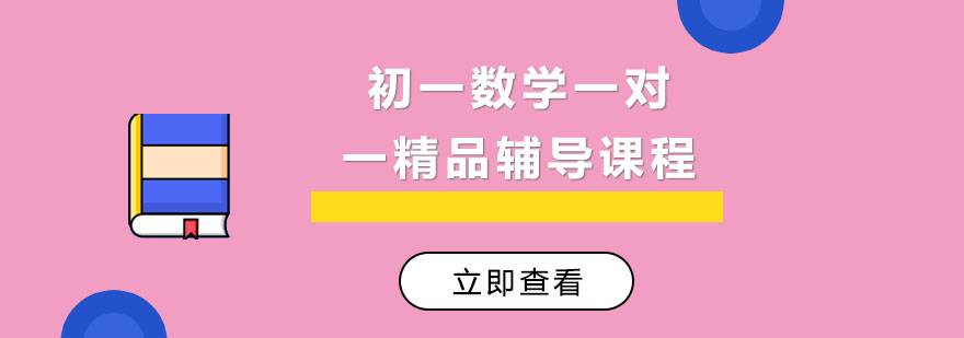 初一数学一对一精品辅导课程