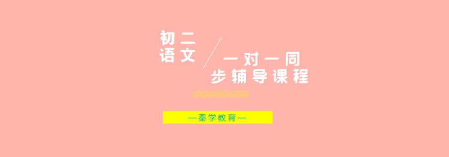 初二语文一对一同步辅导课程