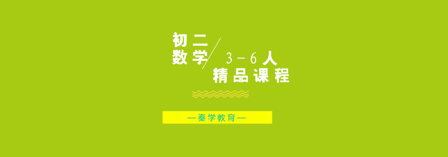 初二数学3-6人精品课程