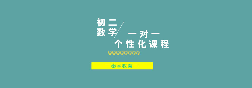 初二数学一对一个性化课程