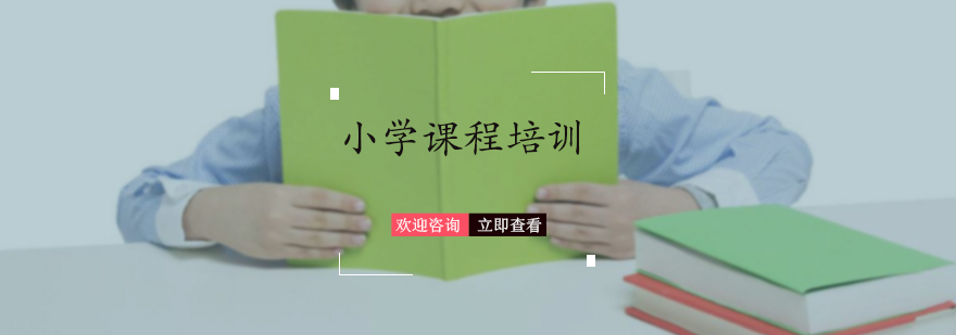 小学课程培训