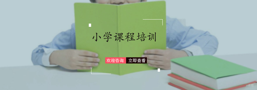 小学课程培训