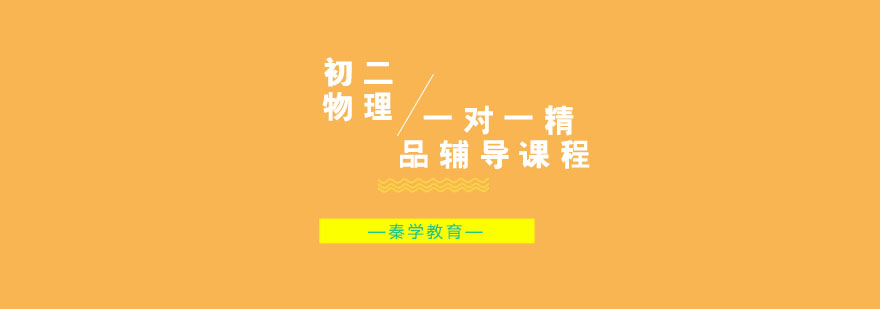 初二物理一对一精品辅导课程