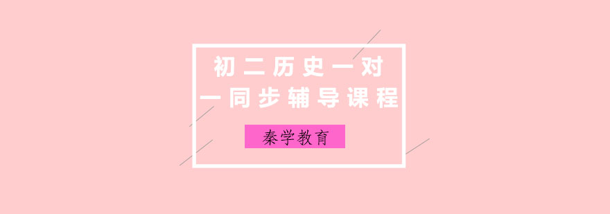 初二历史一对一同步辅导课程