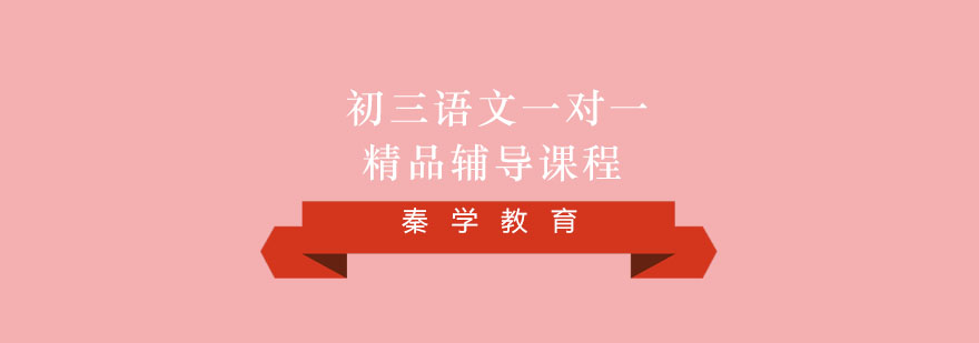 初三语文一对一精品辅导课程