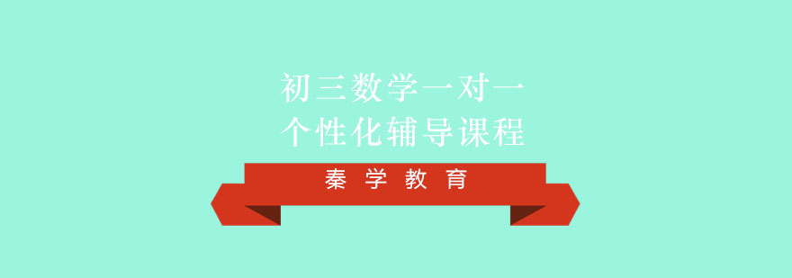 初三数学一对一个性化辅导课程