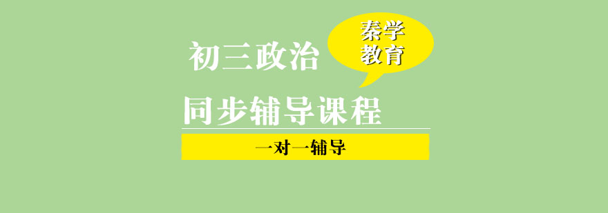 初三政治一对一同步辅导课程