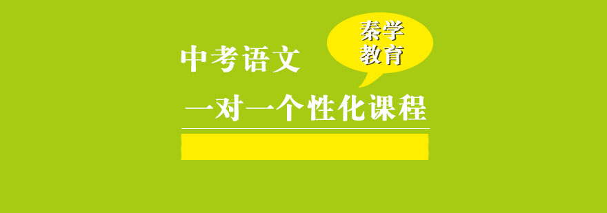 中考语文一对一个性化辅导课程
