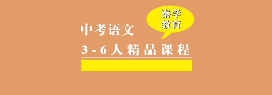 中考语文3-6人精品课程