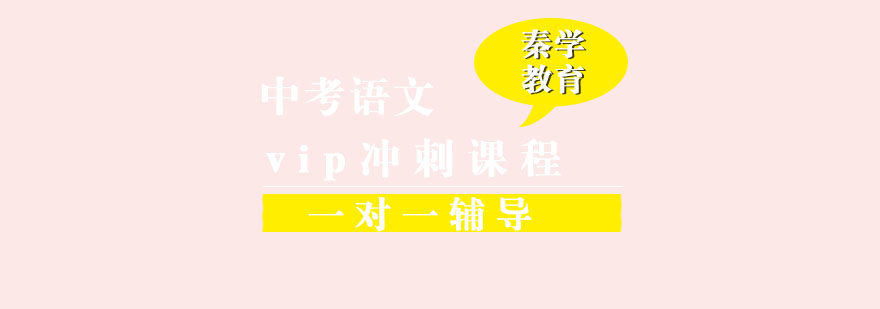 中考语文一对一vip辅导冲刺课程