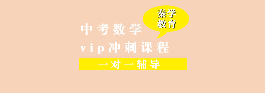 中考数学一对一vip辅导冲刺课程