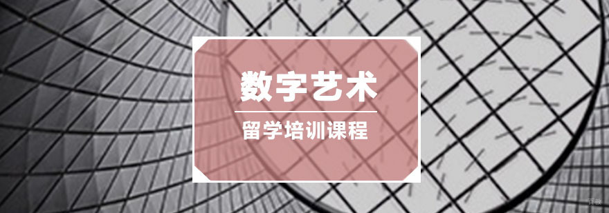 重庆数字艺术留学培训