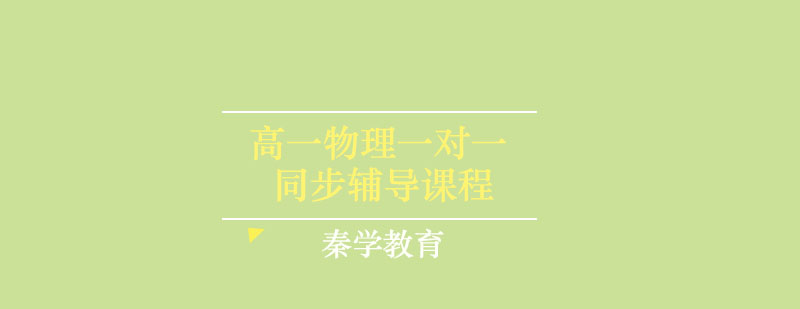 高一物理一对一同步辅导课程
