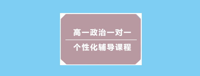高一政治一对一个性化辅导课程