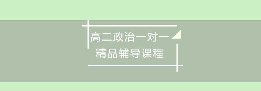 高二政治一对一精品辅导课程