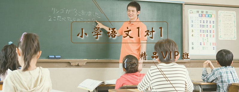 小学语文一对一精品VIP课程