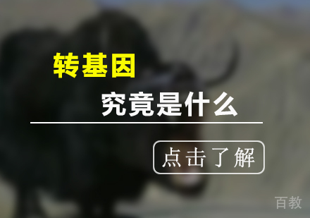 转基因究竟是什么