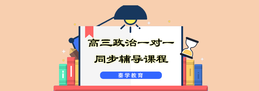 高三政治一对一同步辅导课程