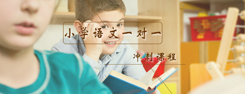 小学语文个性化辅导课堂