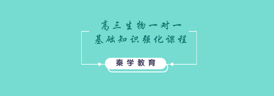 高三生物一对一基础知识强化课程